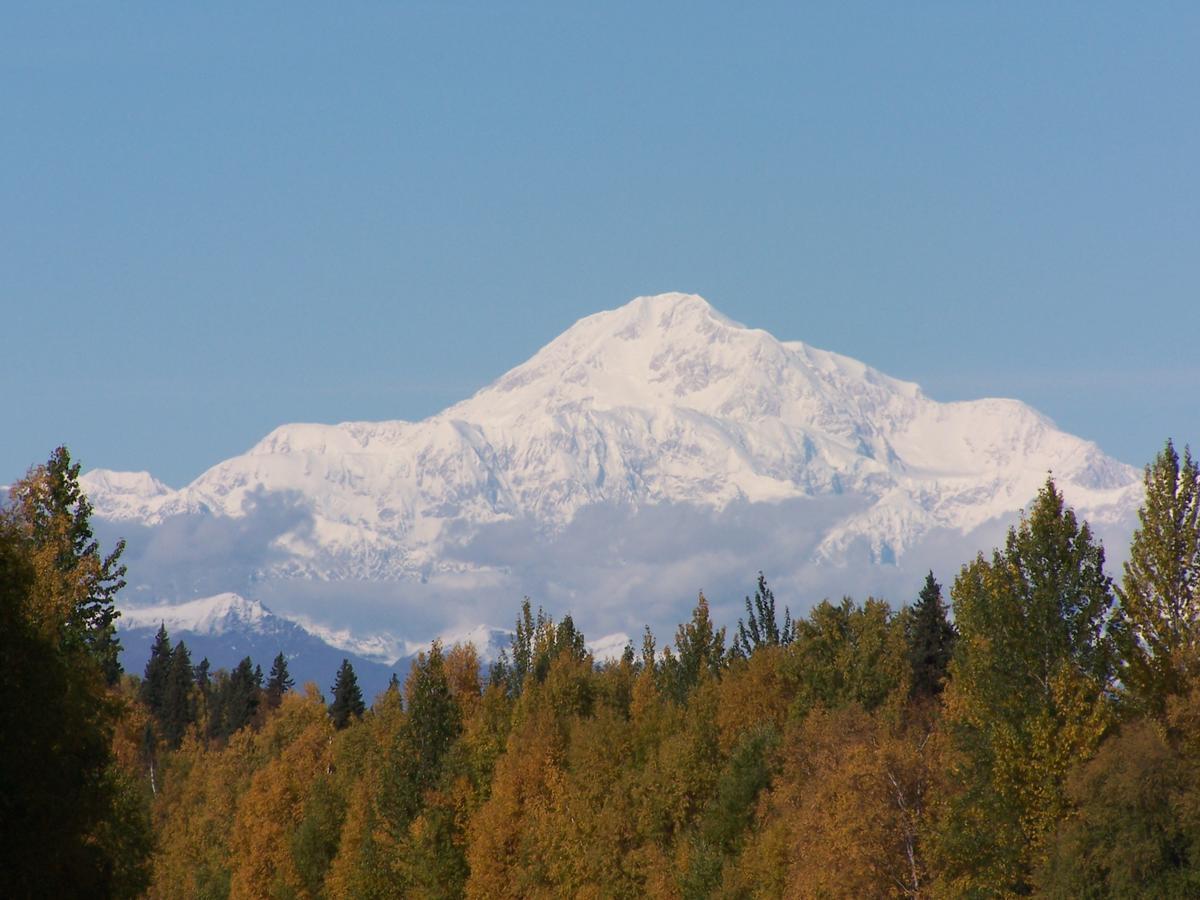 Denali Primrose Bed & Breakfast Healy Ngoại thất bức ảnh