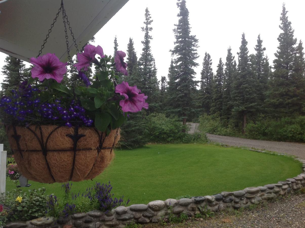 Denali Primrose Bed & Breakfast Healy Ngoại thất bức ảnh