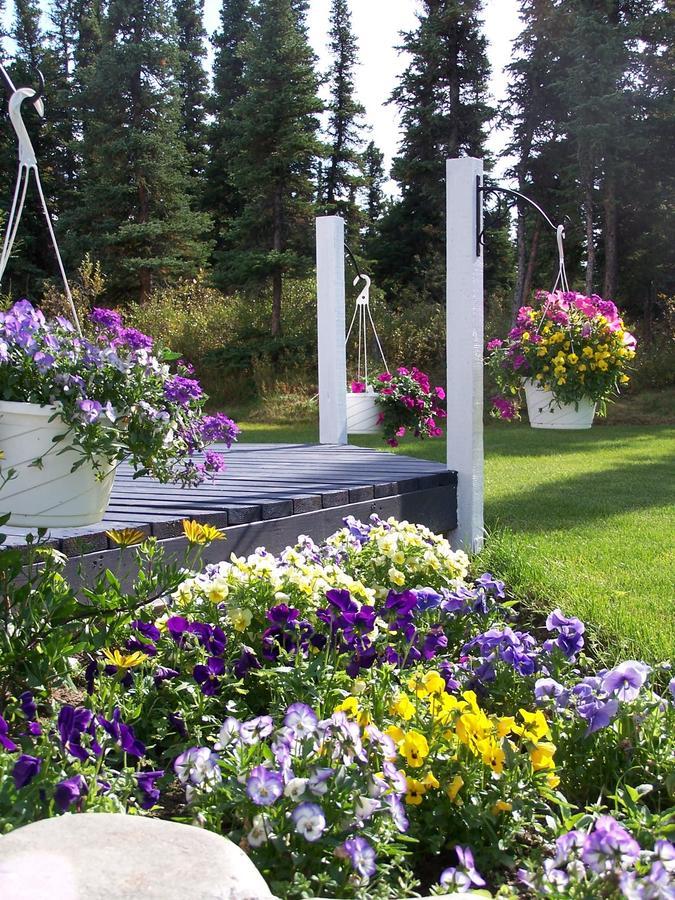 Denali Primrose Bed & Breakfast Healy Ngoại thất bức ảnh